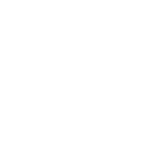 Promitis-logo-white